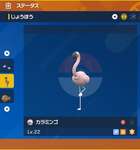ポケモンSVで序盤鳥ポケモン「カラミンゴ」大当たり旅パポケモンだったって気付いた奴どれくらいいたののサムネイル画像