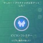 ビビヨンの模様で一番価値のある模様って何？のサムネイル画像
