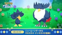 【ポケスリ】マルノーム使いたくないからヤミカラスはマルノーム並のゆめかけ期待値で頼むのサムネイル画像