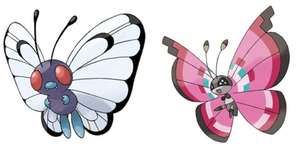 【ポケモンSV】バタフリー、バレてきたなのサムネイル画像