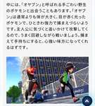 【ポケモンレジェンズZ-A】オヤブンとかカロスの治安終わってんなｗｗｗｗｗｗｗｗのサムネイル画像