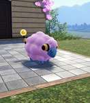 【ポケモンZA】色違い今作出やすいんか？のサムネイル画像