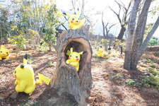 「ポケパーク カントー」ってどんなところ？　体験して分かった楽しさと，来園前に知っておきたいポイントのサムネイル画像