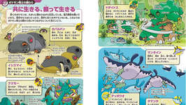 『ポケモン生態図鑑』本文ページ画像が公開！のサムネイル画像