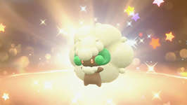 国際選手権チャンピオンの「ワタッコ」配布！のサムネイル画像