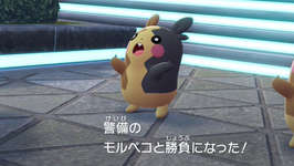 【ポケモンZA DLC】警備デデンネ、クビｗｗｗｗのサムネイル画像