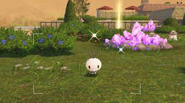 【朗報】ポケモンZAの「色違い」の仕様、全世界待望の仕様になるのサムネイル画像