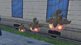 【ポケモンZA】唐突に生えてきた「バケッチャの新設定」は何なの？のサムネイル画像